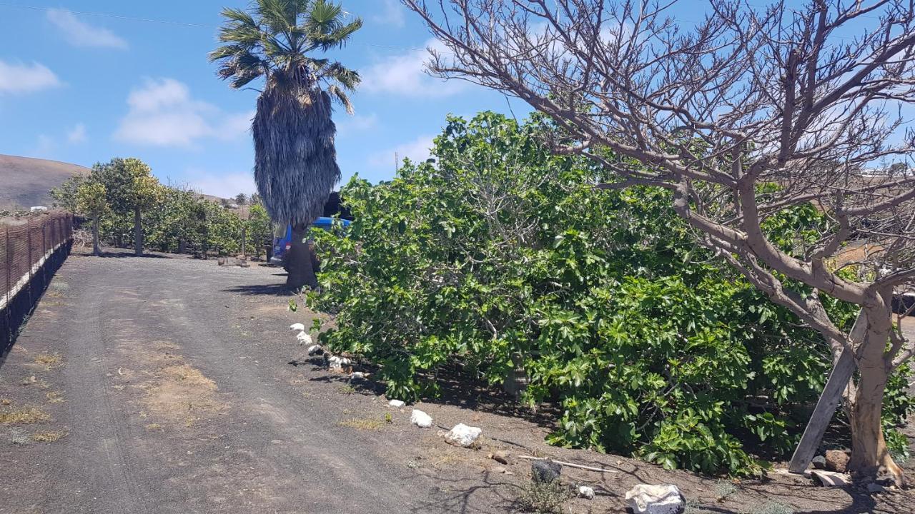 Finca Relax, Sea View, Oasis Vasiliko, La Asomada Tías Eksteriør billede