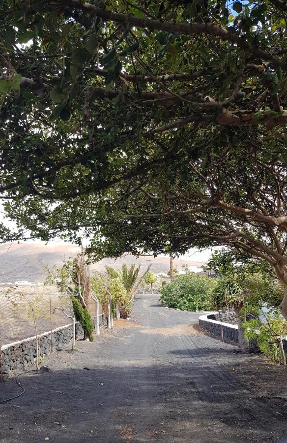 Finca Relax, Sea View, Oasis Vasiliko, La Asomada Tías Eksteriør billede